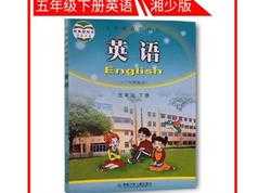 湘少版小学五年级英语下册同步网课教学视频全套（下学期 43集）