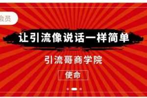 引流哥商学院第八期：引流7天特训营，让引流像说话一样简单