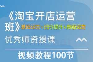 淘宝开店营运视频教程100节从基础运营+进阶提升+高级运营