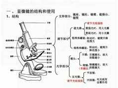 2019高考生物全部实验系统提分班_高三生物实验课视频教程