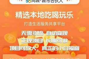 58同城城市合伙人自动赚钱项目，长期稳定，项目可放大，外面出售88元项目