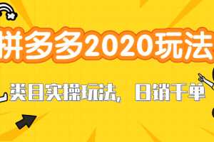 拼多多2020最新类目实操玩法，直通车定向玩法做爆款，轻松操作到日销千单