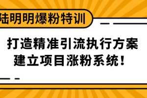 陆明明爆粉特训：打造精准引流执行方案，建立项目涨粉系统！