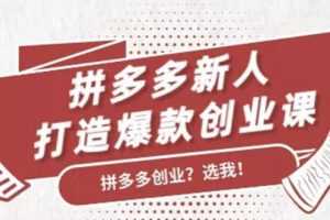 拼多多新人打造爆款创业课：快速引流持续出单，适用于所有新人