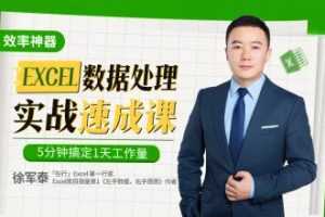 徐军泰Excel数据处理速成实战课，5分钟搞定1天工作量