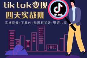 tiktok变现四天实战班：连怼技术+矩阵玩法赚美金价值998元(实操视频)