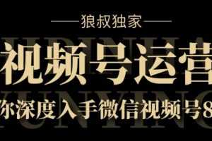 狼叔独家:视频号8.0运营实战课，带你深度入手微信视频号