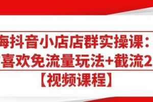 大海抖音小店店群实操课：猜你喜欢免流量玩法+截流2.0【视频课程】