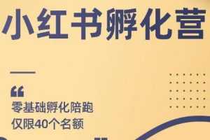 勇哥小红书撸金快速起量项目：教你如何快速起号获得曝光，做到月躺赚在3000+