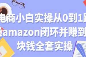 电商小白实操从0到1跑通amazon闭环并赚到一块钱全套实操