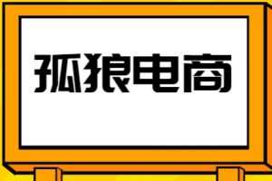 孤狼电商店群VIP教程：孤狼店群2021-禅中说电商