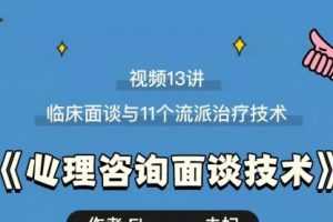 心理咨询面谈技术课 理论讲授+案例实录+解释点评视频