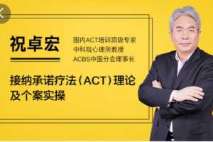 祝卓宏:接纳承诺疗法（ACT）理论及个案操作 视频课