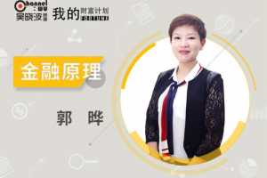 吴晓波我的财富计划-郭晔《金融原理》