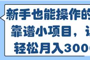 新手也能操作的4个靠谱小项目，让你轻松月入3000+