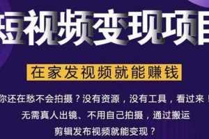 随风短视频变现项目：从0到1教你打造爆款短视频变现，在家发视频就能赚钱