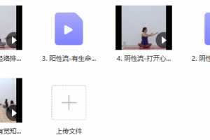 董娟 阴性流动阳性流动身心疗愈课程1-2级