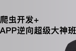 路飞学城爬虫&逆向三期课程