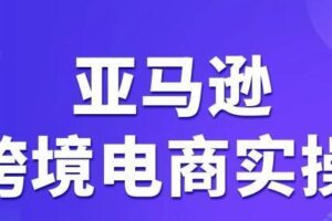 亚马逊跨境电商vip课程，价值3980元