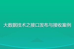 尚硅谷大数据技术之接口发布与接收案例