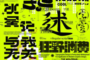 付顽童商业字体设计第16期2022年12月结课【画质还可以只有视频】