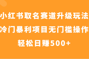 小红书取名赛道升级玩法，冷门暴利项目无门槛操作，轻松日赚500+