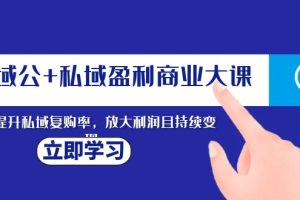 全域公+私域盈利商业大课，有效提升私域复购率，放大利润且持续变现