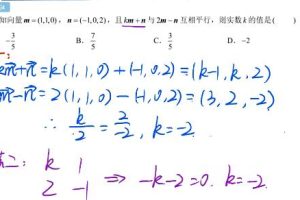 专业辅导，轻松应对高二数学难题：肖晗2023高二数学暑秋班