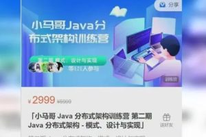 Java架构-小马哥 Java分布式架构训练营第二期 模式、设计与实现