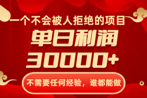 一个不会被人拒绝的项目，不需要任何经验，谁都能做，单日利润30000+