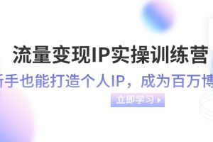 流量变现-IP实操训练营：新手也能打造个人IP，成为百万 博主（46节课）