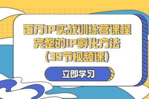 百万IP实战训练营课程，完整的IP孵化方法（35节视频课）