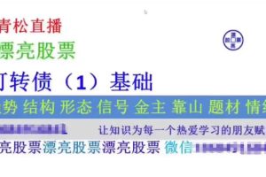 高青松 可转债、ETF、国债 7视频