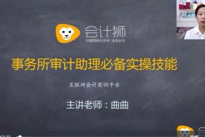 四大审计经理讲审计助理实操（视频课）