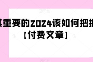 极其重要的2024该如何把握？【付费文章】