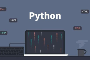 麻瓜编程Python Web开发工程师微专业基础教程