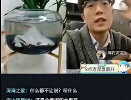 上亿游资涅盘重升《短线心得直播分享》