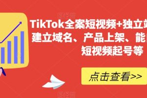 TikTok全案短视频+独立站，包括：建立域名、产品上架、能自主从0-1短视…