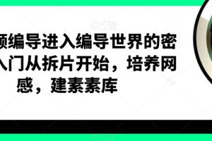 短视频编导进入编导世界的密钥，入门从拆片开始，培养网感，建素素库 …