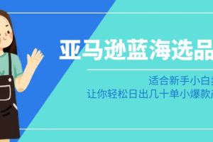 亚马逊蓝海选品课：适合新手小白卖家，让你轻松日出几十单小爆款产品