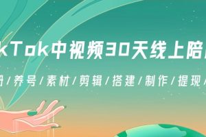 TikTok中视频30天线上陪跑班：注册/养号/素材/剪辑/搭建/制作/提现/等等