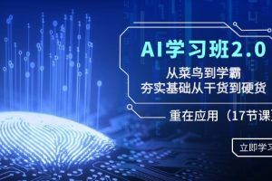 AI学习班2.0：从菜鸟到学霸，夯实基础从干货到硬货，重在应用（17节课）