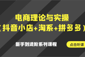 电商理论与实操（抖音小店+淘系+拼多多）新手到进阶系列课程