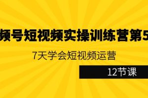 视频号短视频实操训练营第5期：7天学会短视频运营（12节课）