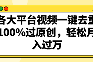 各大平台视频一键去重，100%过原创，轻松月入过万！