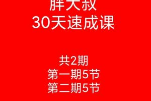 【游资胖大叔】胖大叔绝密炒股课程30天速成班第一期+第二期