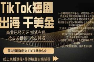 TikTok短剧出海干美金，商业已经闭环抓紧布局，抢占关键词抢占排名