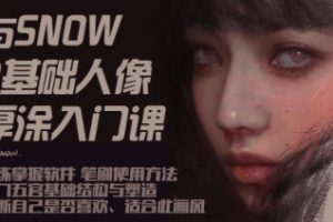 与snow厚涂人像0基础入门2023