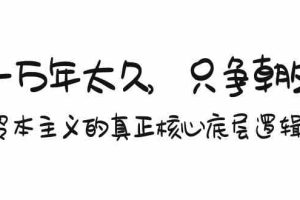 某付费文章《一万年太久，只争朝夕：资本主义的真正核心底层逻辑》