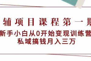 教辅项目课程第一期：新手小白从0开始变现训练营 私域搞钱月入三万